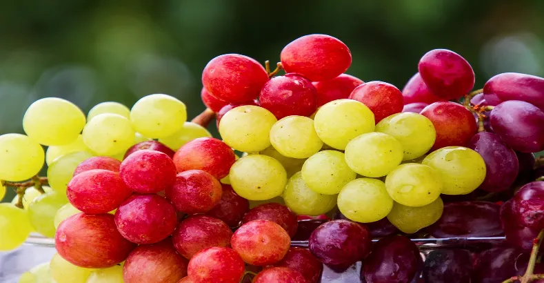 The best foods for healthy liver