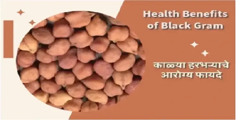 Health Benefits of Black Gram