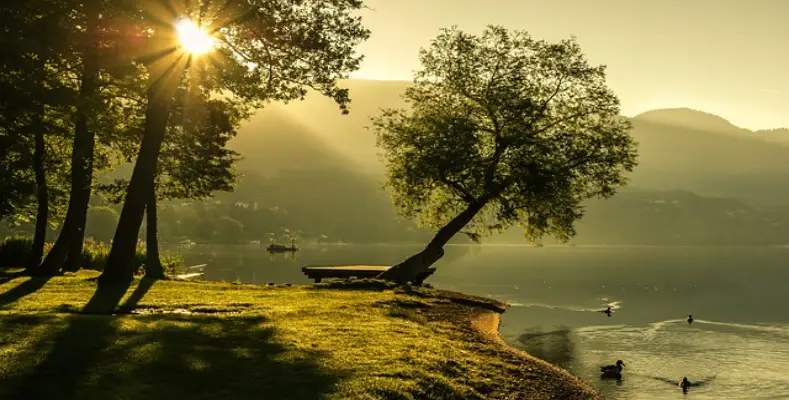 Exactly where is the beauty?