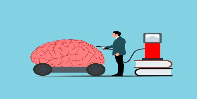 How to Fuel Brain