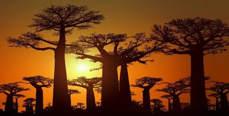 15 The Most Remote Places on Earth