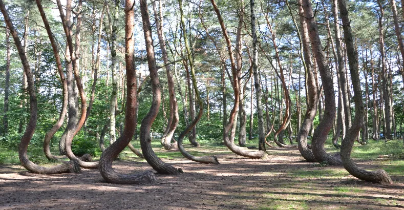 Most Mysterious Places in the World