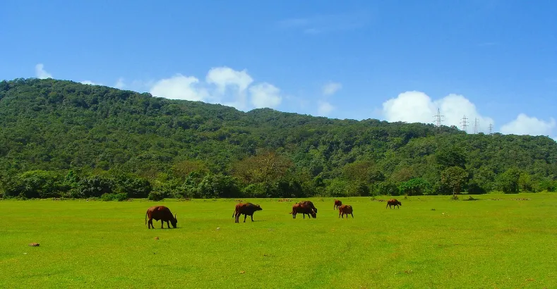 10 Best Tourism Places to Visit in India
