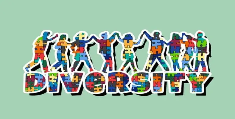 What is Unity in Diversity?