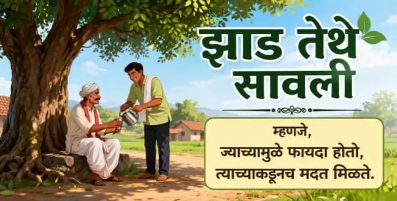 Where there is a tree, there is shade