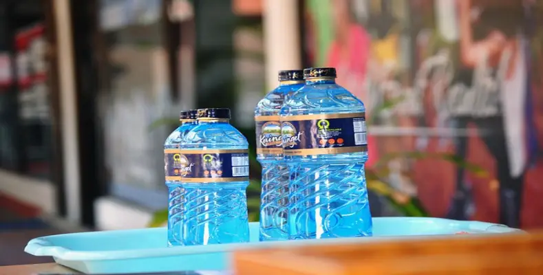 Water Purification and Human Health