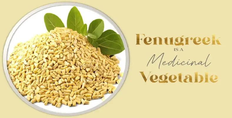 Fenugreek is a Medicinal Vegetable