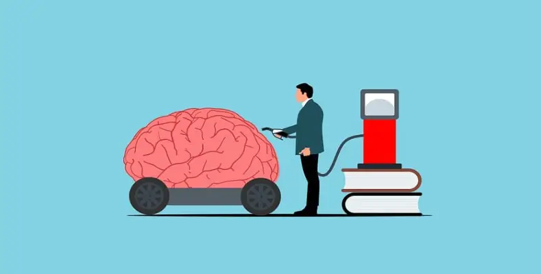 How to Fuel Brain for Best Performance