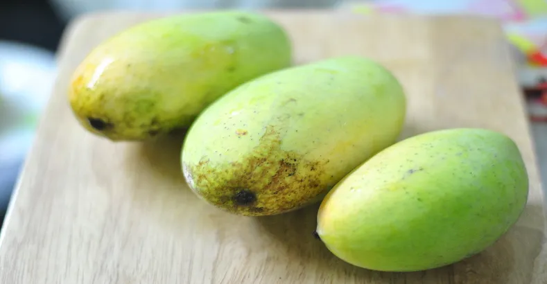 Popular Varieties of Mangoes in India
