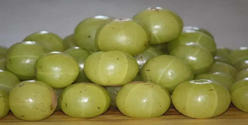Who Should Avoid Eating Amla?
