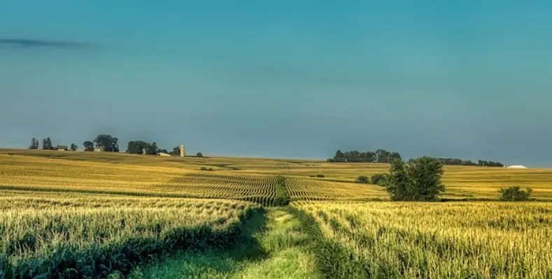 Business Ideas Related to Agriculture