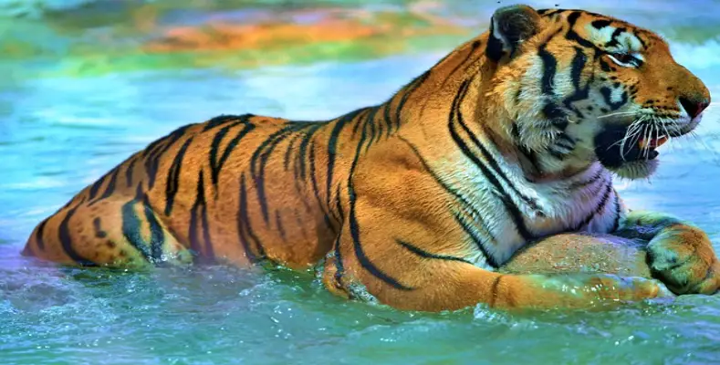 Know The Biodiversity in Maharashtra