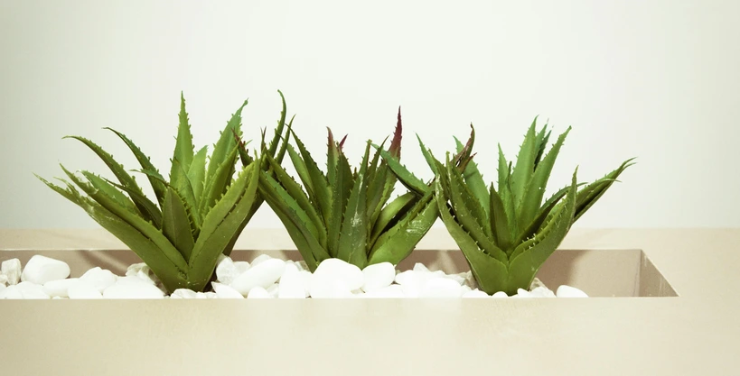 How to Prevent Skin Rash in Summer