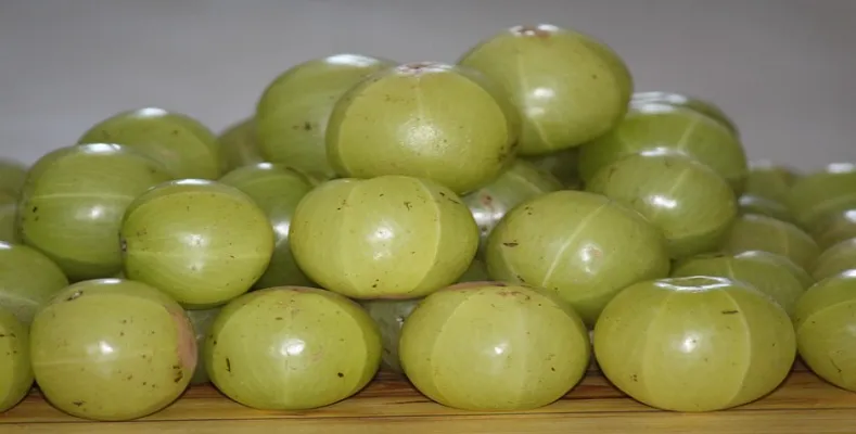 Know the Amazing Benefits of Amla