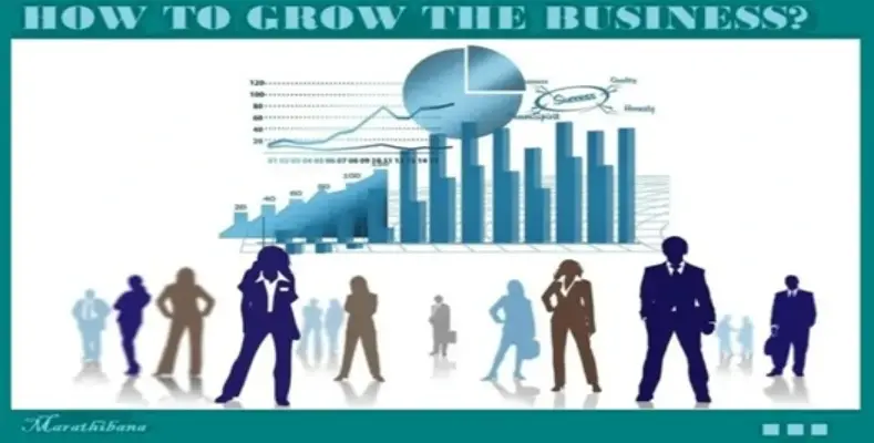 How To Grow The Business?