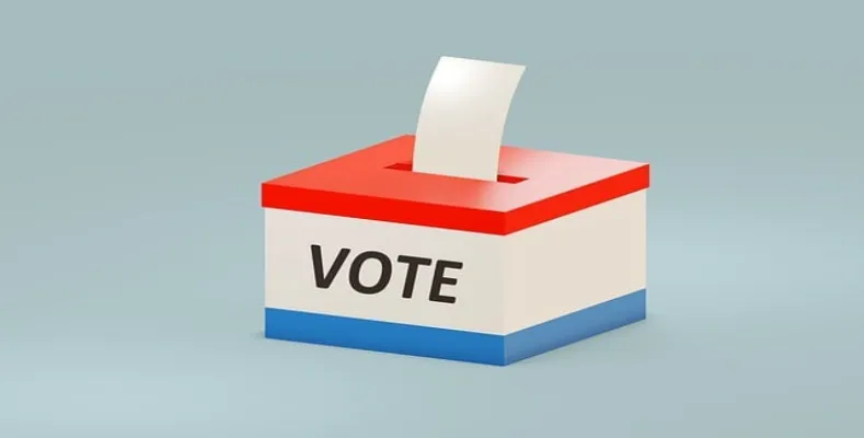 Do You Vote in Political Elections?