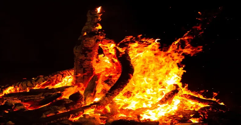 How to Celebrate Holi Festival in India