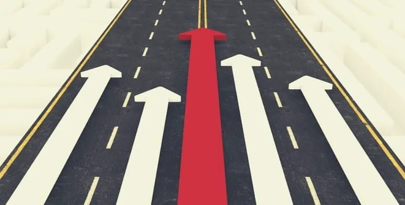 What career paths have you interested in?