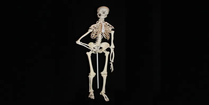 Strange facts about the human body