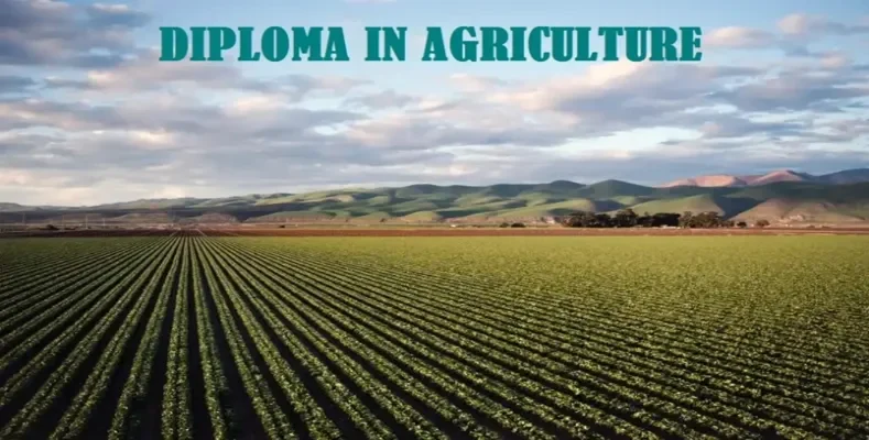 Diploma in Agriculture after 10th