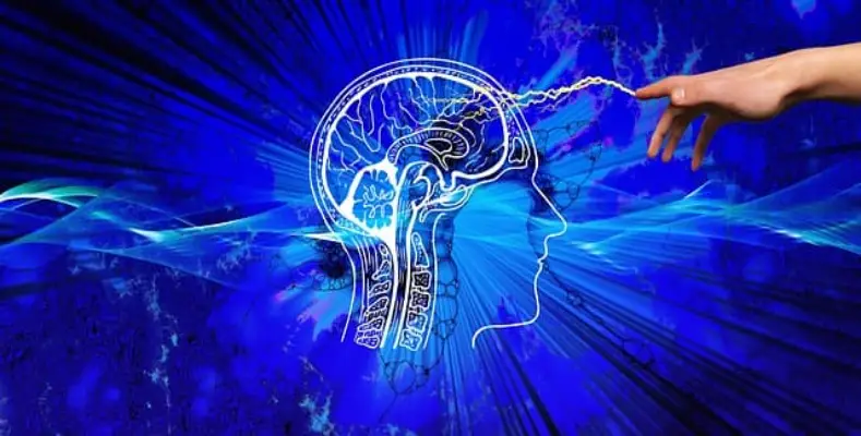 How to Improve Brain Function