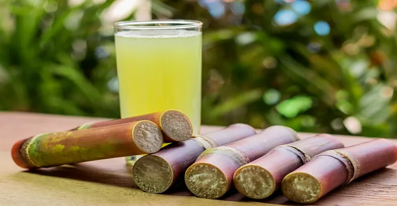 11 Amazing Summer Drinks
