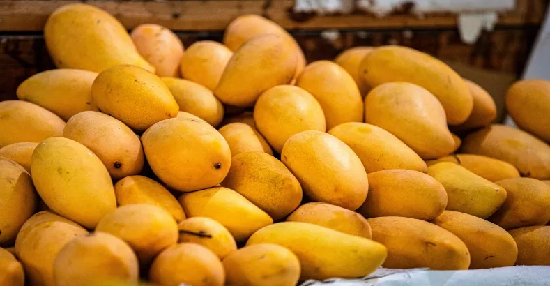 Popular Varieties of Mangoes in India