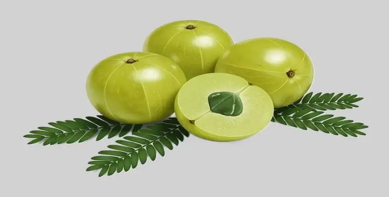 Effects of Excessive Consumption of Amla