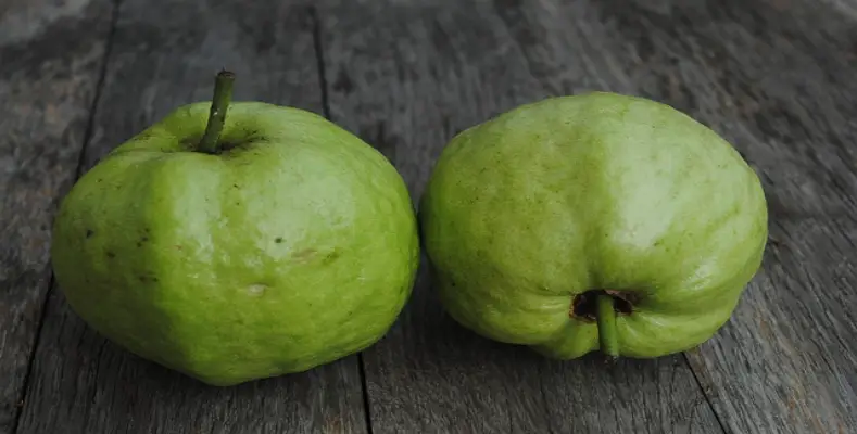 What are the 10 reasons for eating Guava?