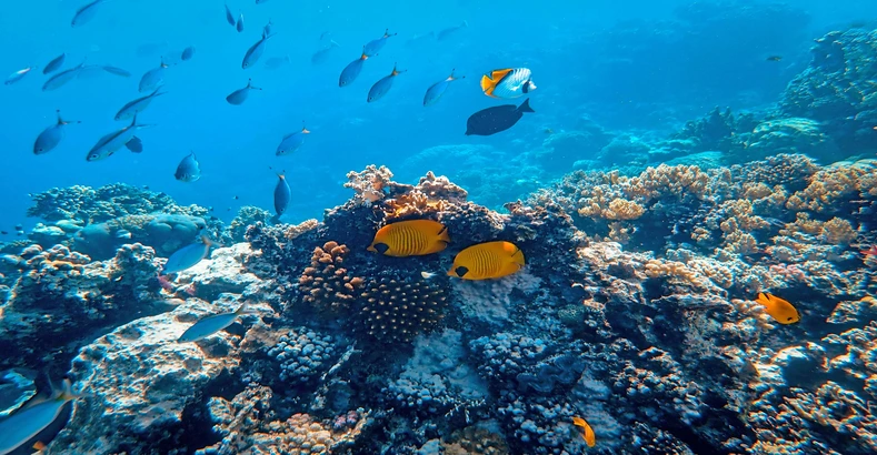 Amazing Places in the World