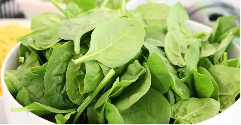 Good Foods for Students