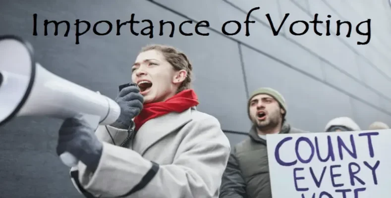 What is the Importance of Voting?