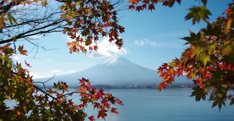 Amazing Places in the World