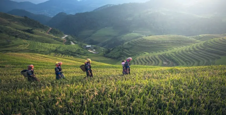 Agriculture the best courses after 10th