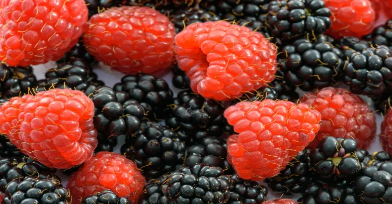 Good Foods for Students