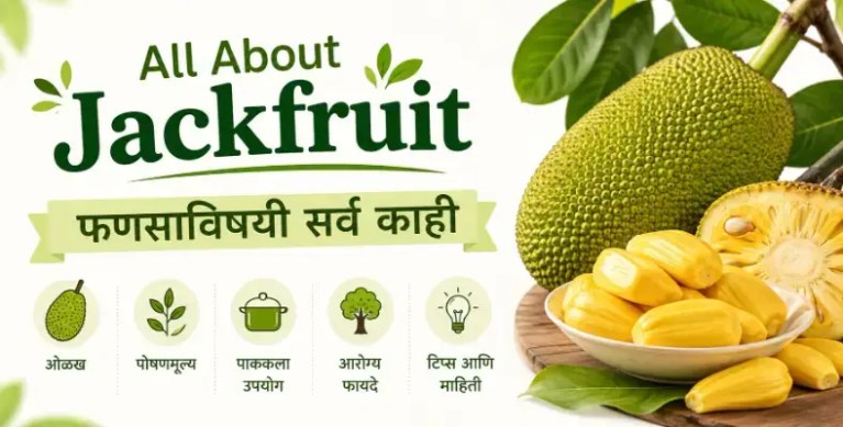All About Jackfruit
