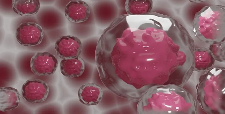 How to become a stem cell therapist?