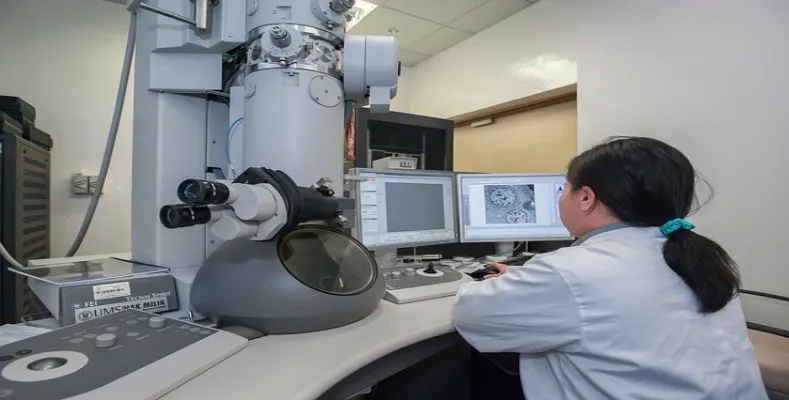 Bachelor of Technology in Biotechnology