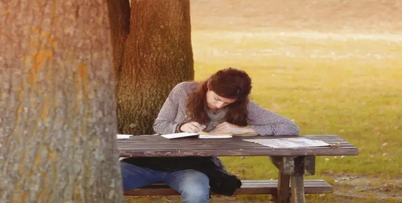 How to Write a Diary?
