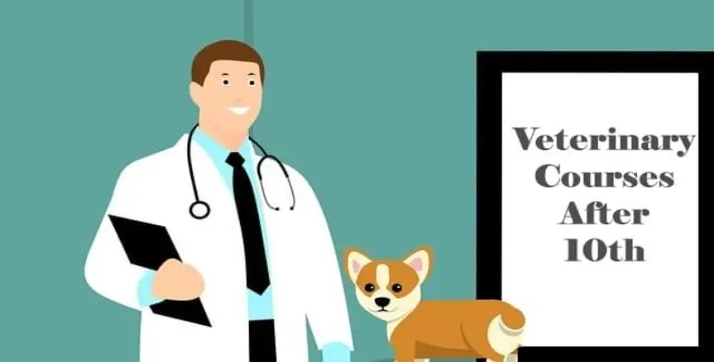 Veterinary Courses After 10th