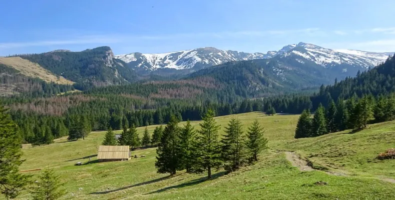 What is the importance of tourism?