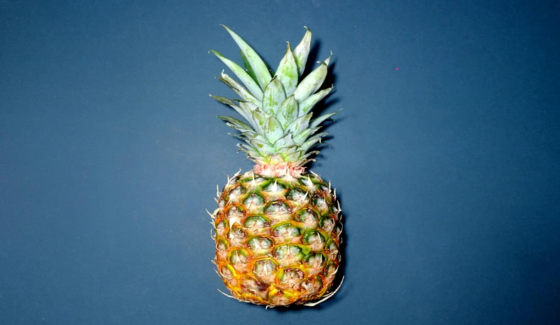 What are the most favorite fruits?