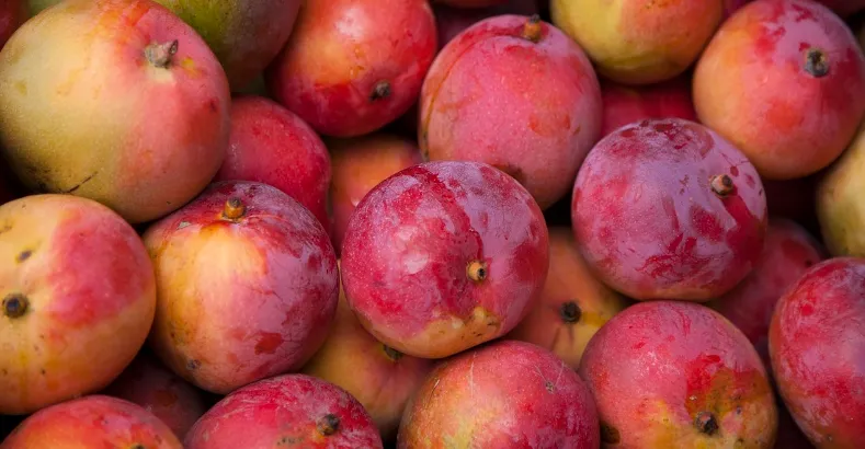 Popular Varieties of Mangoes in India