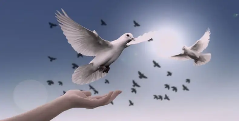 What Does Freedom Mean to You?