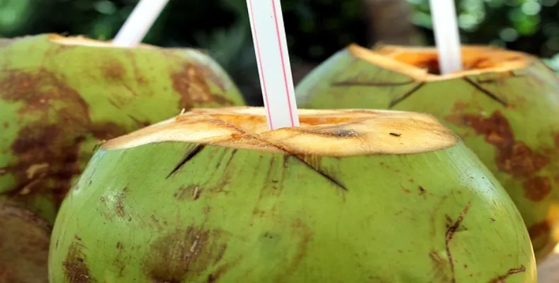 The Amazing Benefits of Coconut Water