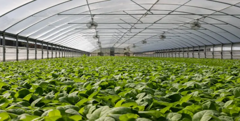 How to be an Agriculture Officer?