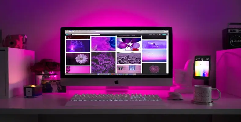How to earn money through a website?