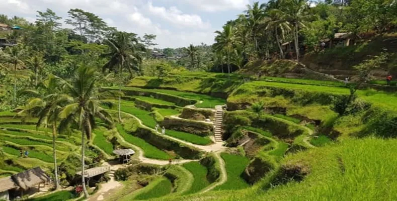 Top 10 Travel Destinations in the World