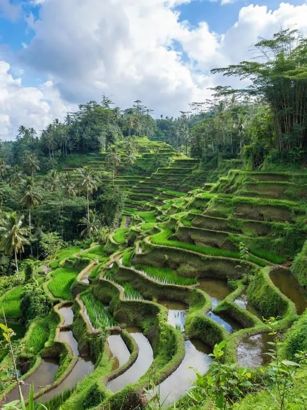 Top 10 Travel Destinations in the World