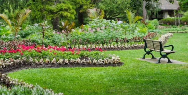 Landscaping Services
